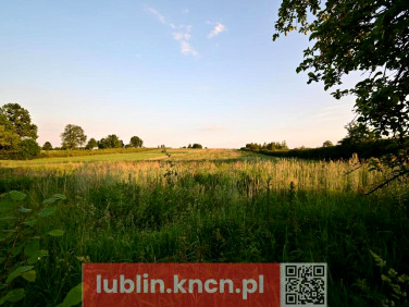 Działka Panieńszczyzna