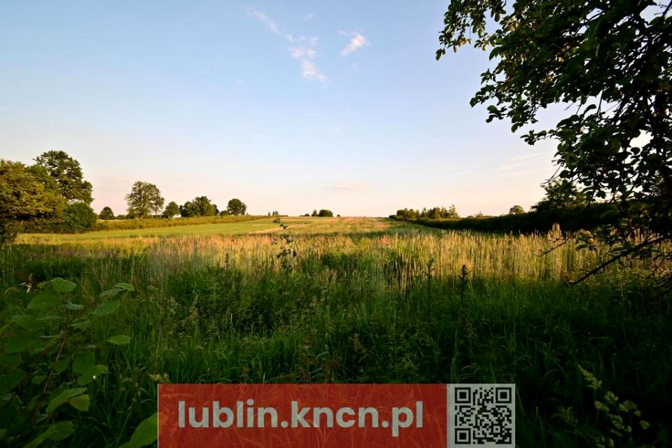 Działka Panieńszczyzna