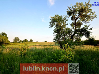 Działka Nałęczów