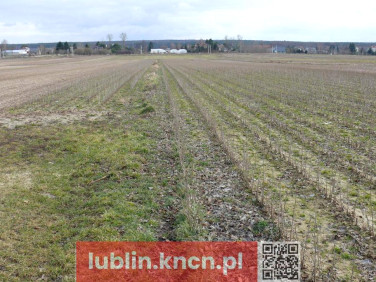 Działka Lublin