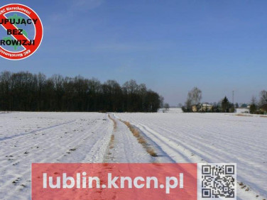 Działka Krężnica Jara