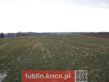 Działka budowlana Tomaszowice sprzedam