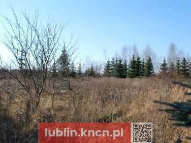 Działka Lublin
