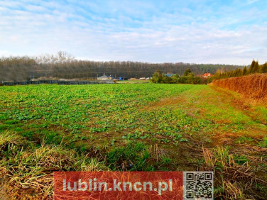 Działka Lublin