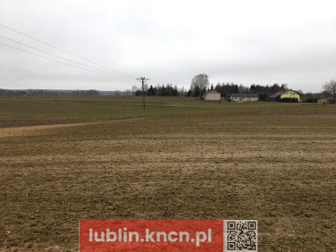 Działka Tomaszowice