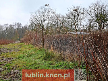 Działka Kazimierz Dolny