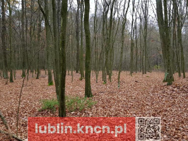 Działka Samoklęski