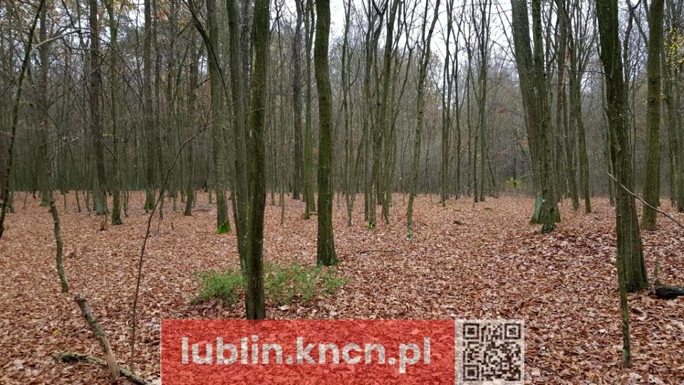 Działka Samoklęski