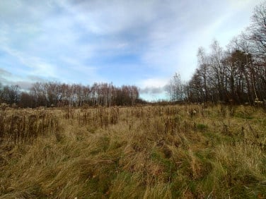 Działka budowlana Jelenia Góra