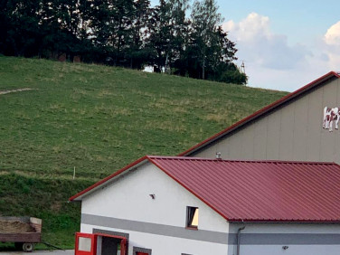 Działka rolna Boża Wólka