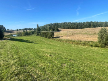 Działka nad jeziorem