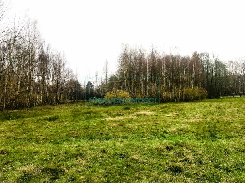 Działka Budy Michałowskie