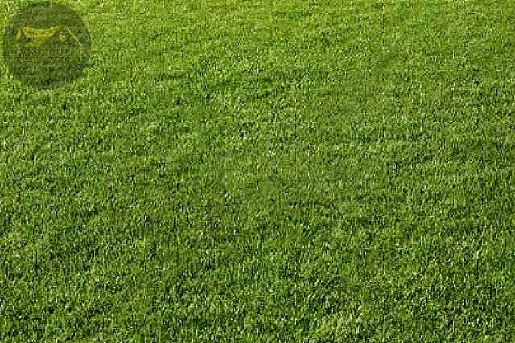 Działka rolna Świdnica