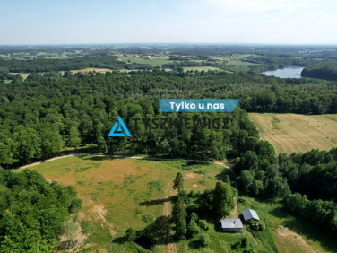 Działka przy lesie