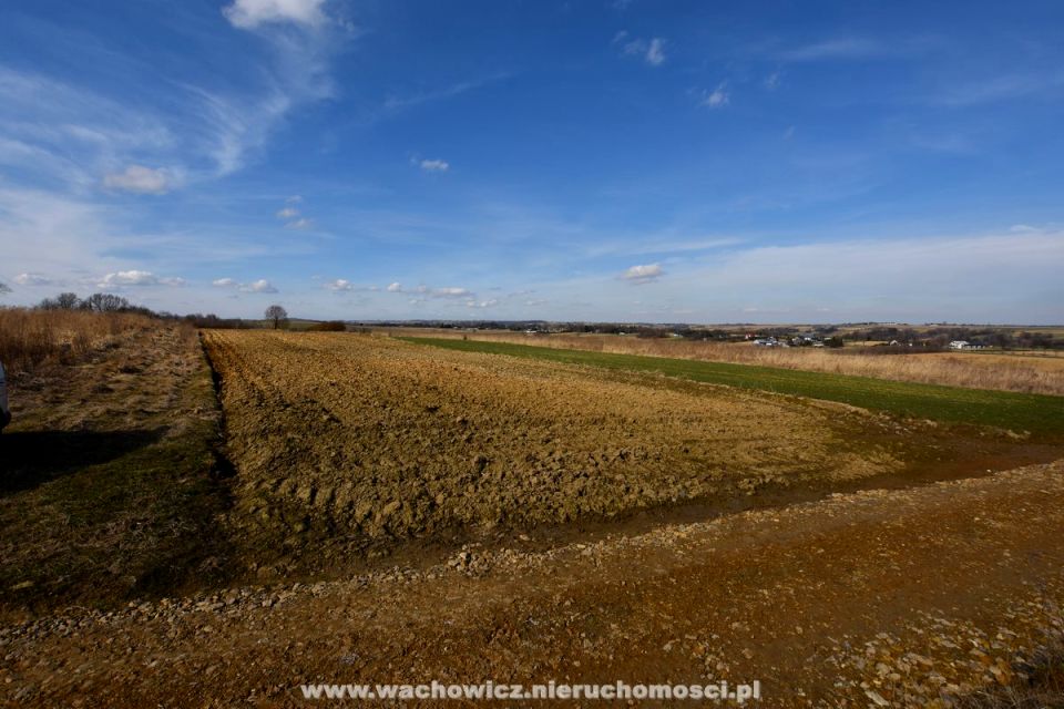 Działka rolna Falniów