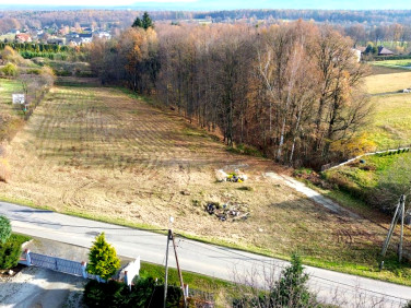 Działka usługowa Pisarzowice