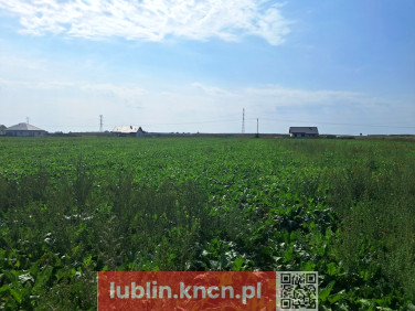 Działka Turowola-Kolonia