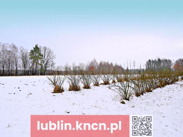 Działka Kazimierz Dolny