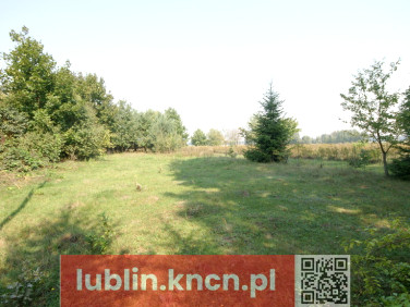 Działka budowlana Gołąb