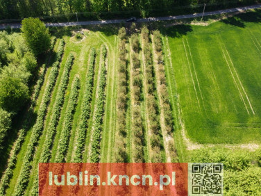 Działka Kamień-Kolonia