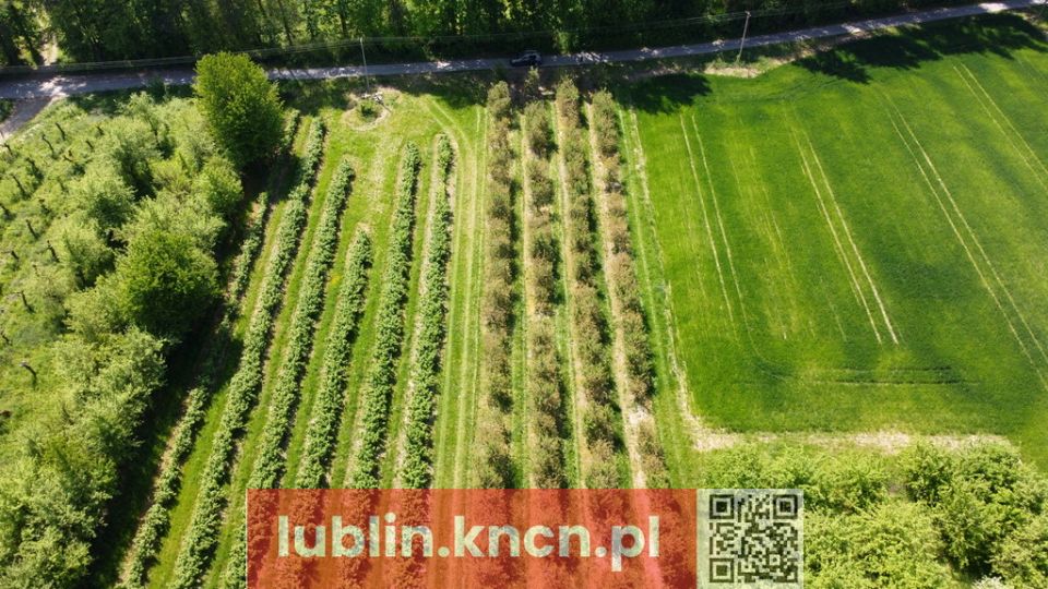 Działka Kamień-Kolonia