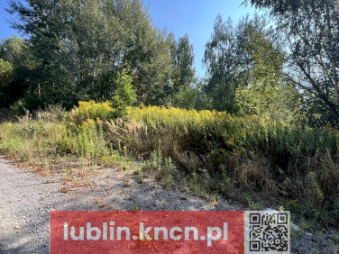 Działka Jakubowice Konińskie-Kolonia