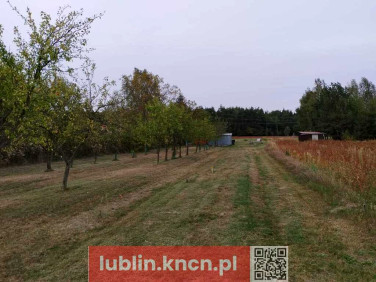 Działka Skrobów-Kolonia