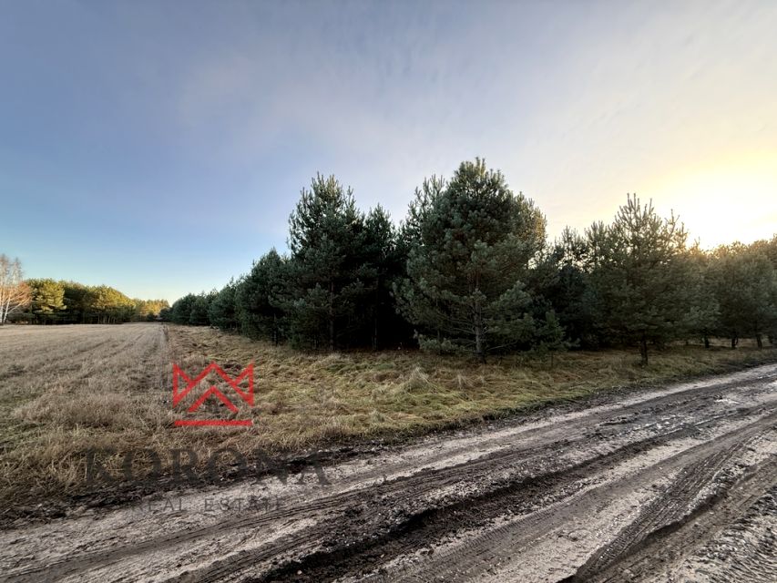 Działka rolna Olchówka