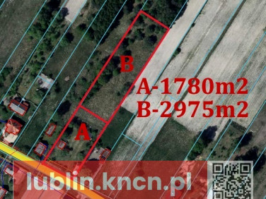 Działka budowlano-rolna Wola Mieczysławska