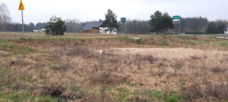 Działka budowlano-rolna Mójcza