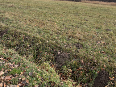 Działka budowlana Żyrardów