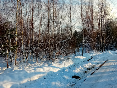 Działka budowlana Tworóg Mały sprzedam