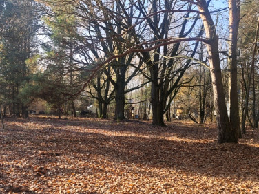 Działka budowlana Wiktorów