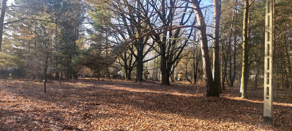 Działka budowlana Wiktorów