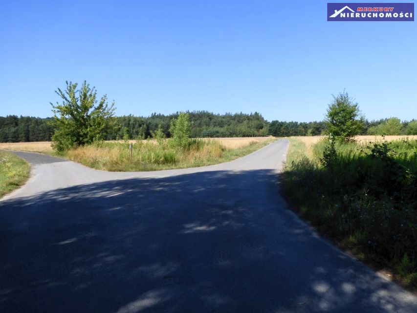 Działka rolna Pętkowice