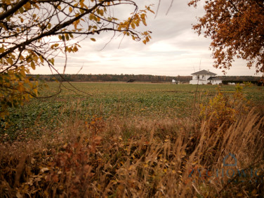 Działka inna Namysłów