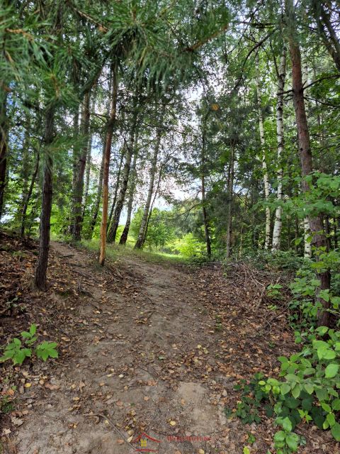 Działka budowlana Wola Nieszkowska