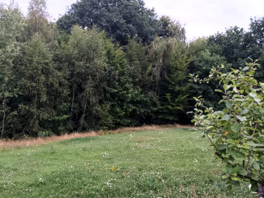 Działka Wola Nieszkowska