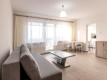 Mieszkanie Szczecin wynajem