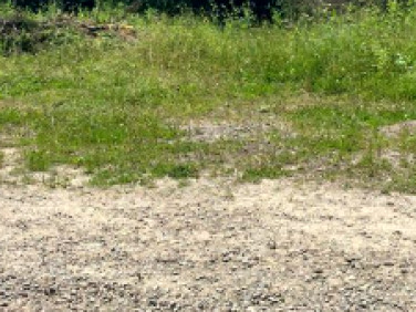 Działka budowlana Wierzbin