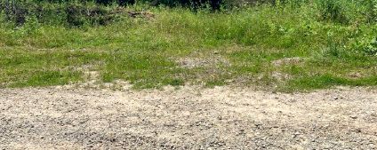 Działka budowlana Wierzbin