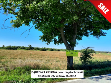 Działka rolna Dąbrowa Zielona