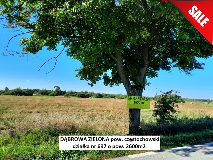 Działka rolna Dąbrowa Zielona