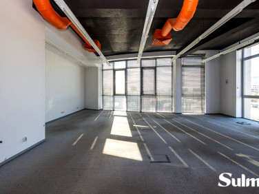 Lokal Kraków wynajem