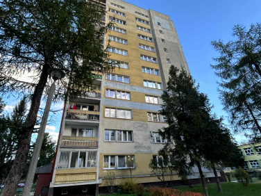 Mieszkanie Nowy Sącz sprzedaż