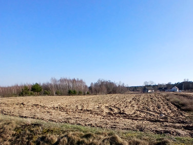 Działka budowlano-rolna Kalinowo