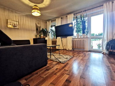 Mieszkanie Kazimierz Biskupi