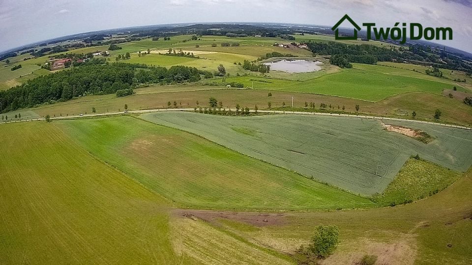 Zdjęcie 3
