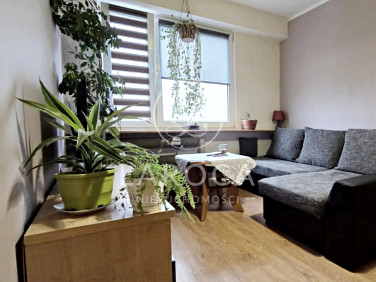 Mieszkanie przy lesie