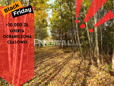 Działka budowlana Rybnik